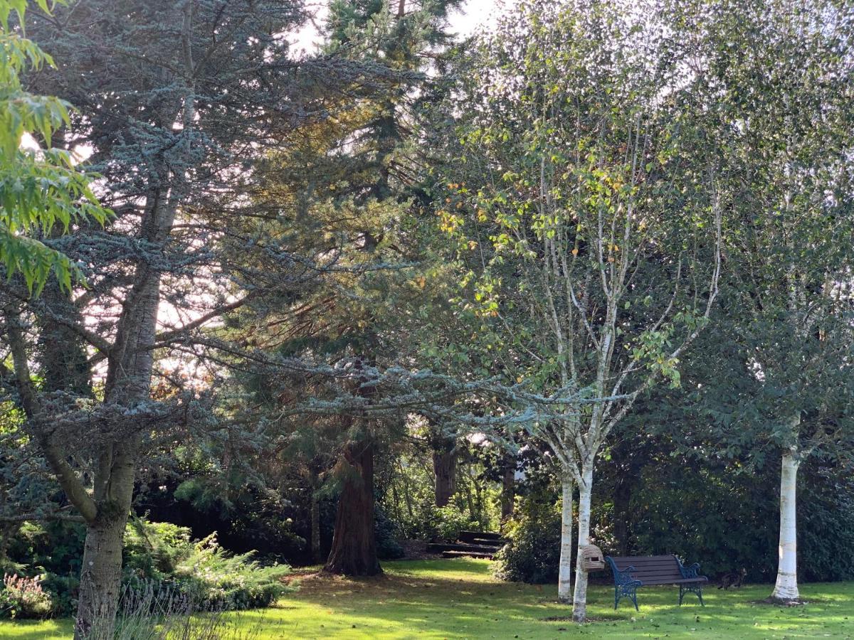 Bed and Breakfast The Ghillie Melrose Esterno foto